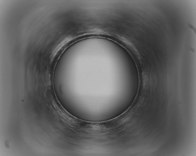 X0000103471318200809191826