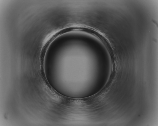 X0000103471319200809191826