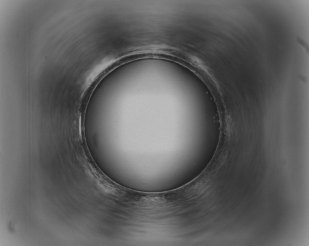 X0000103471320200809191826