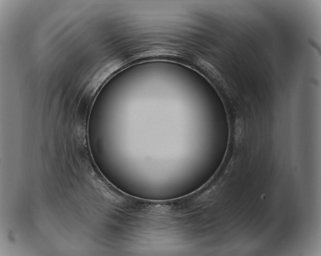 X0000103471321200809191826