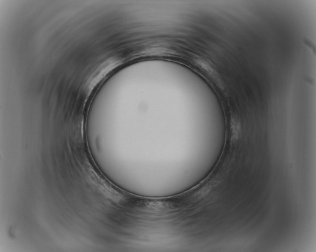 X0000103471322200809191826