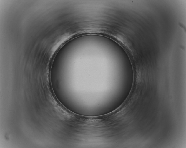 X0000103471325200809191826