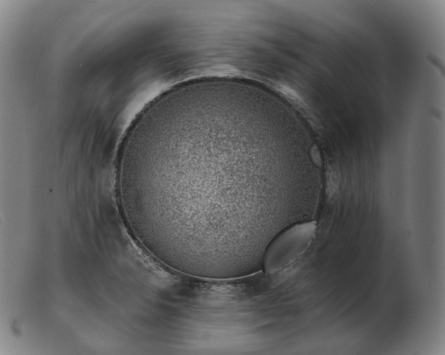 X0000103471326200809191826