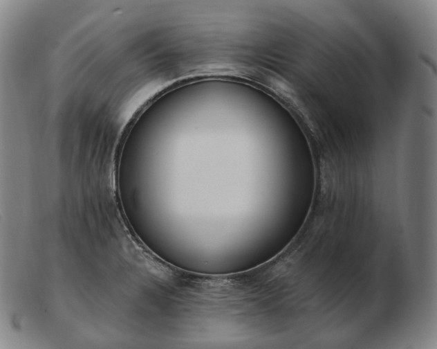 X0000103471328200809191827