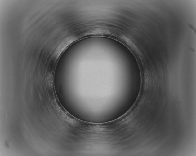 X0000103471329200809191827