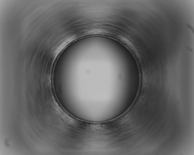 X0000103471330200809191827