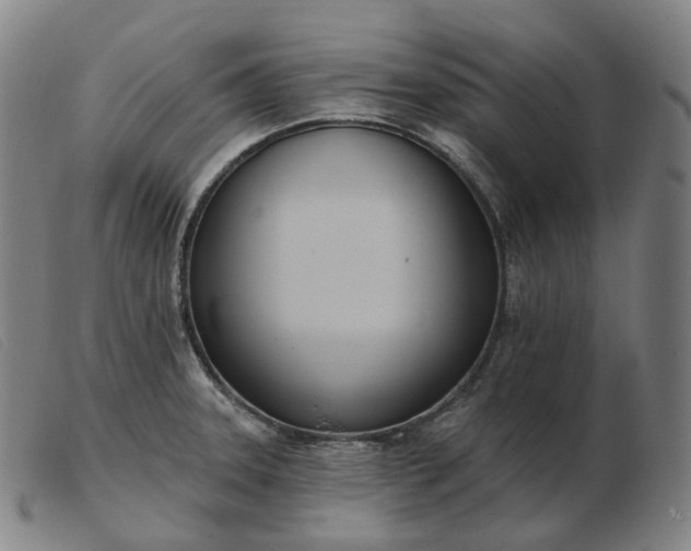 X0000103471331200809191827