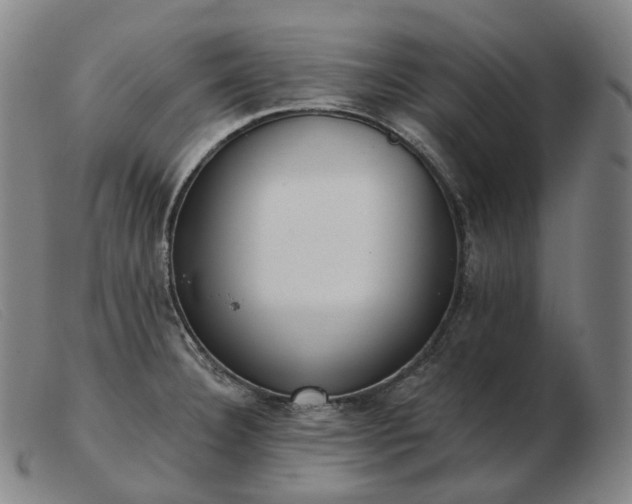 X0000103471332200809191827