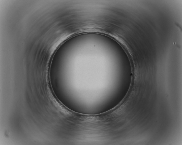 X0000103471333200809191827