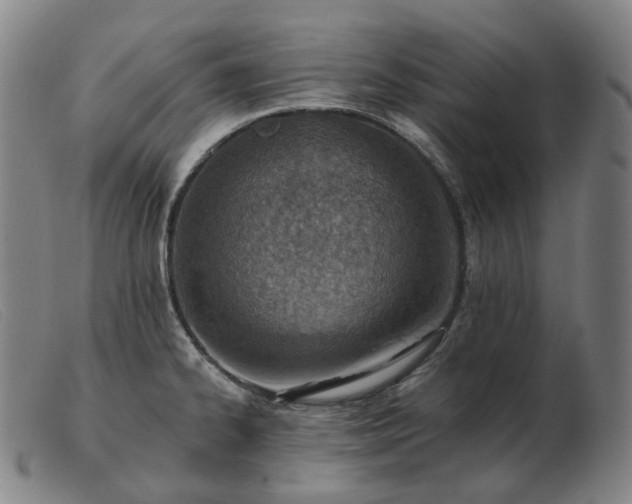 X0000103471334200809191827