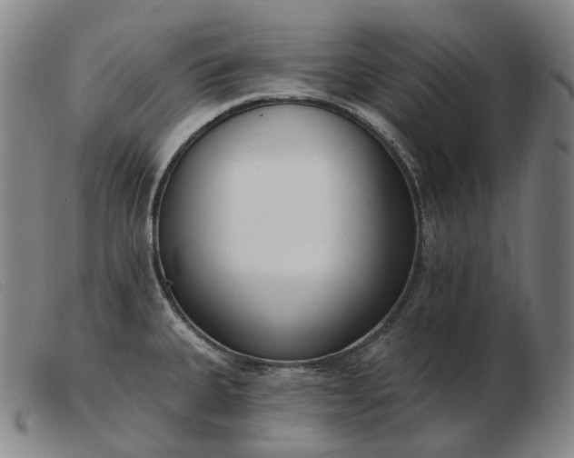 X0000103471335200809191827