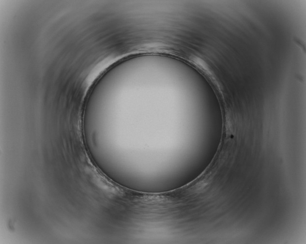 X0000103471336200809191827