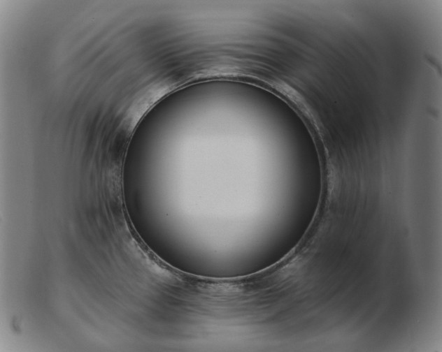 X0000103471337200809191827