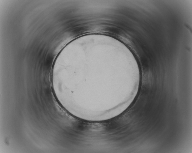 X0000103471338200809191827