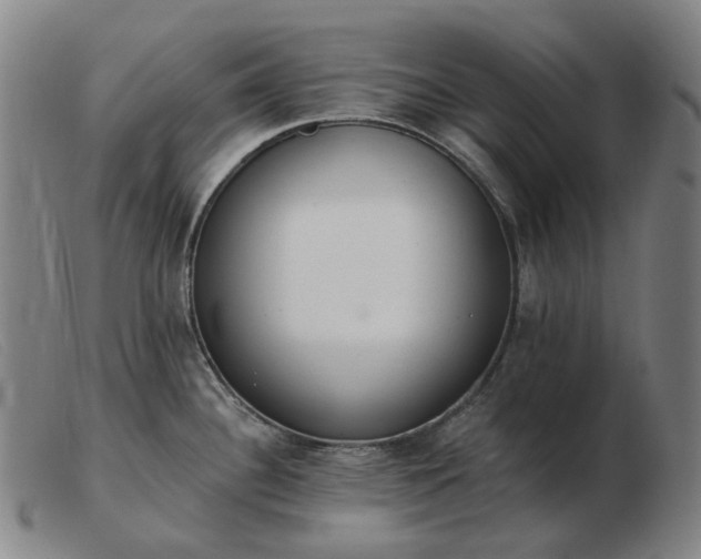 X0000103471340200809191827