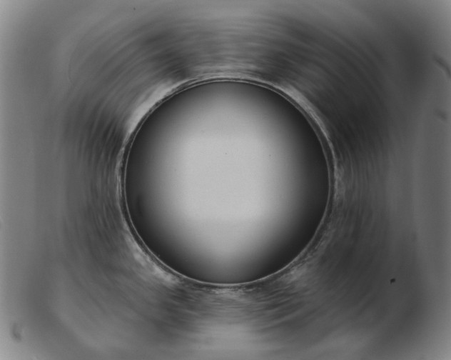 X0000103471341200809191827