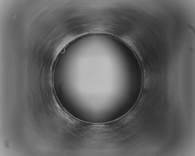 X0000103471342200809191827