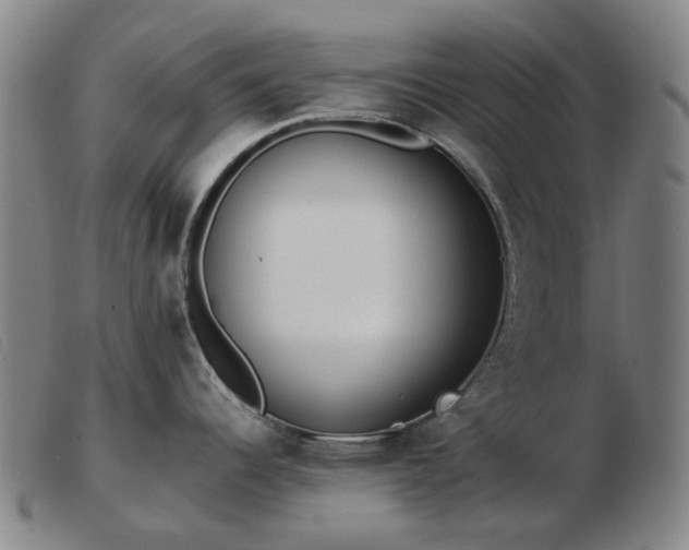 X0000103471344200809191827