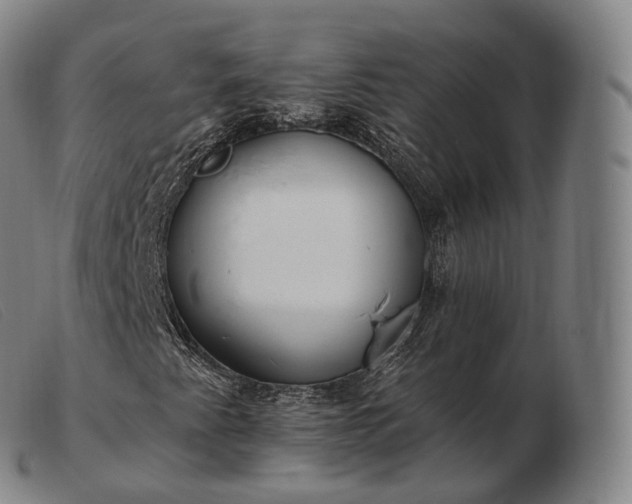 X0000103471345200809191826