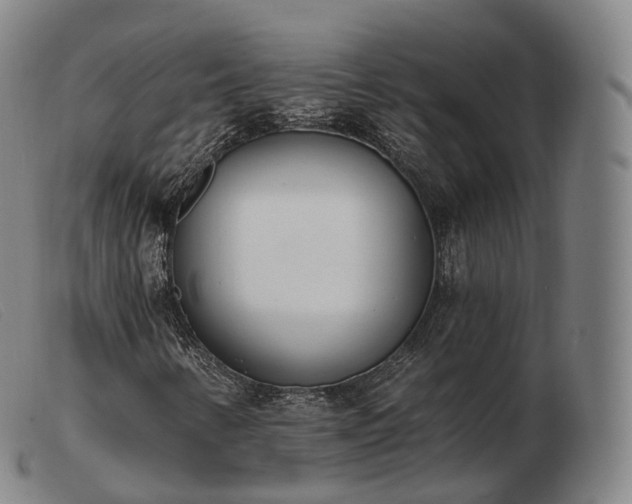 X0000103471346200809191826