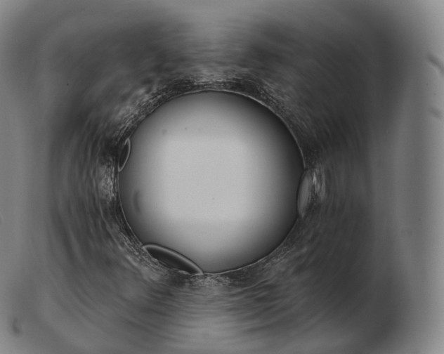 X0000103471348200809191826