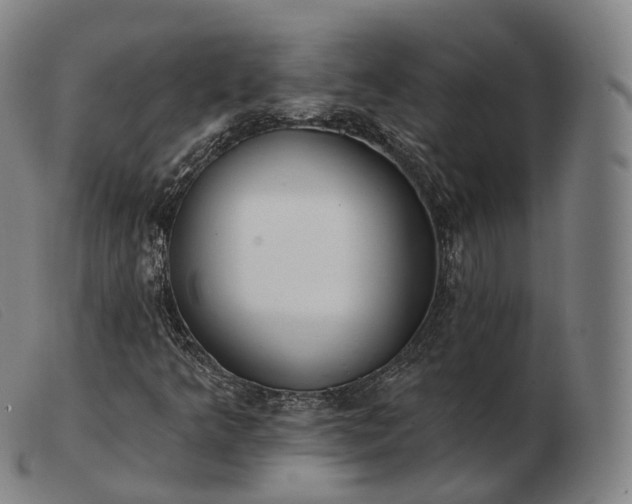 X0000103471349200809191826