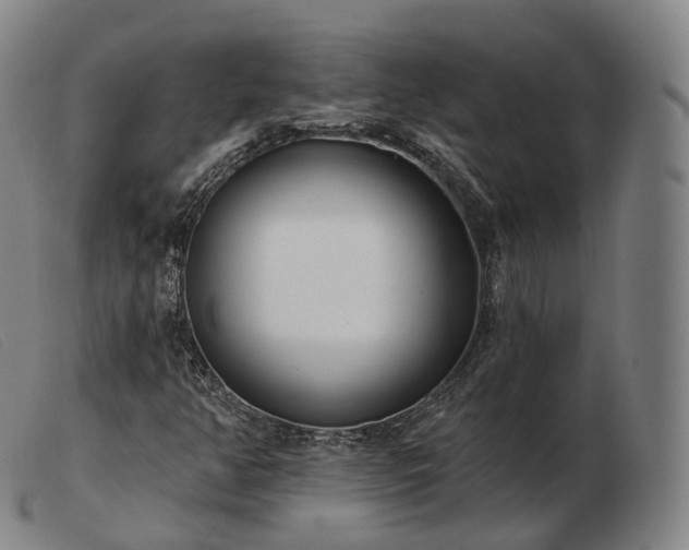 X0000103471350200809191826