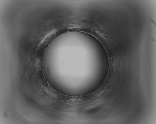 X0000103471351200809191826