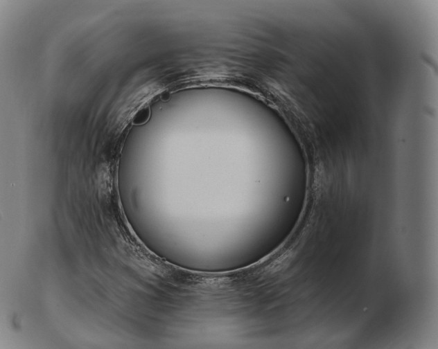 X0000103471353200809191826