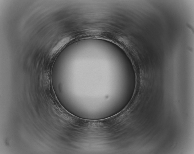 X0000103471354200809191826