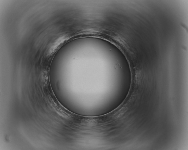 X0000103471355200809191826