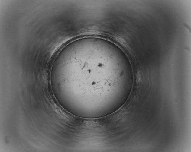 X0000103471356200809191826