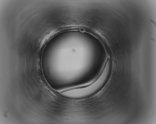 X0000103471357200809191826