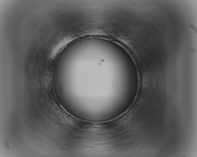 X0000103471359200809191826