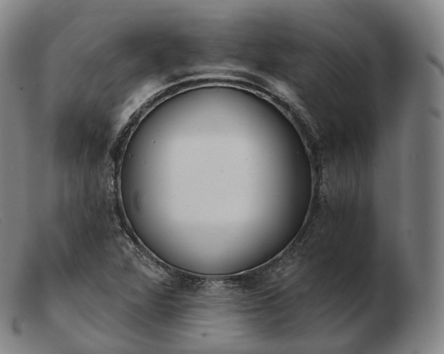 X0000103471360200809191826