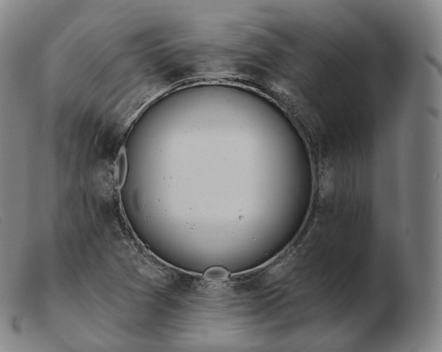 X0000103471361200809191826