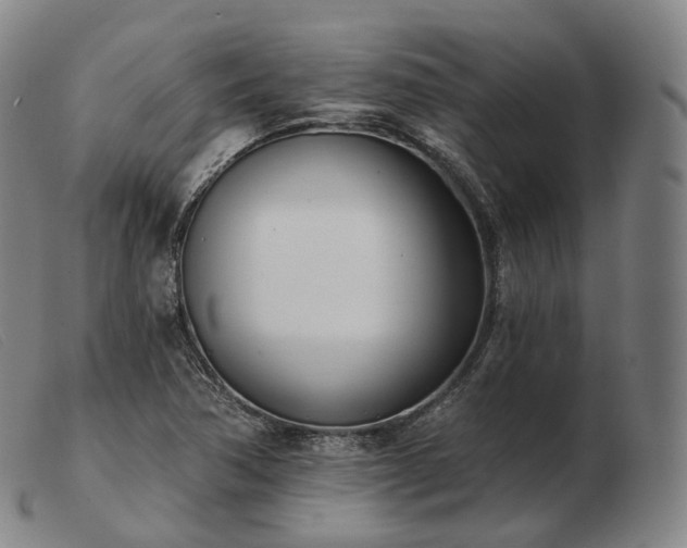 X0000103471362200809191825