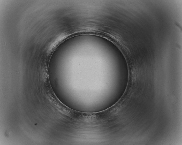 X0000103471363200809191825