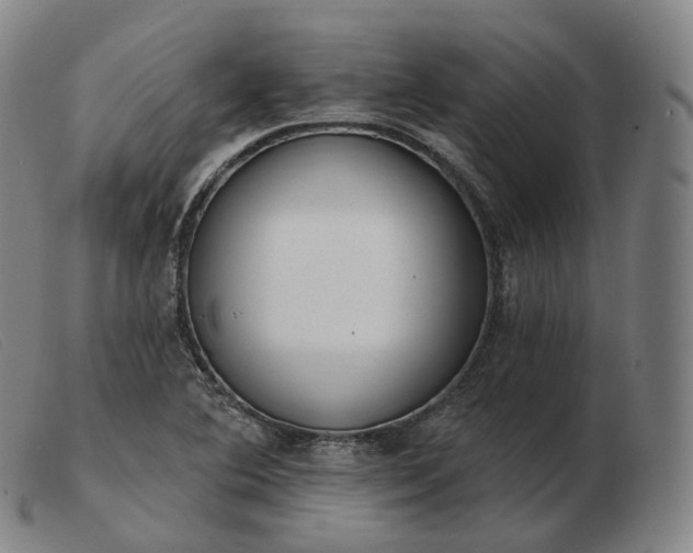 X0000103471364200809191825