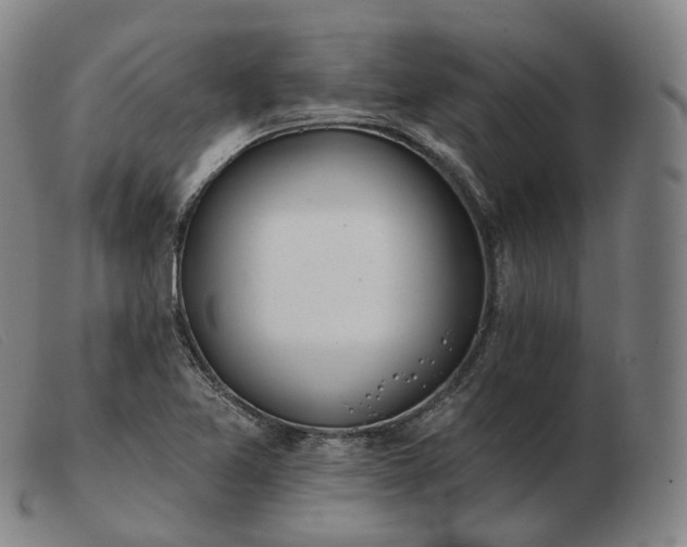 X0000103471365200809191825