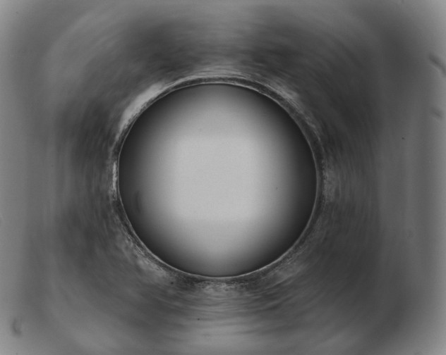 X0000103471366200809191825