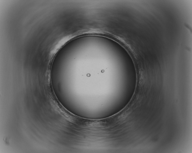 X0000103471367200809191825