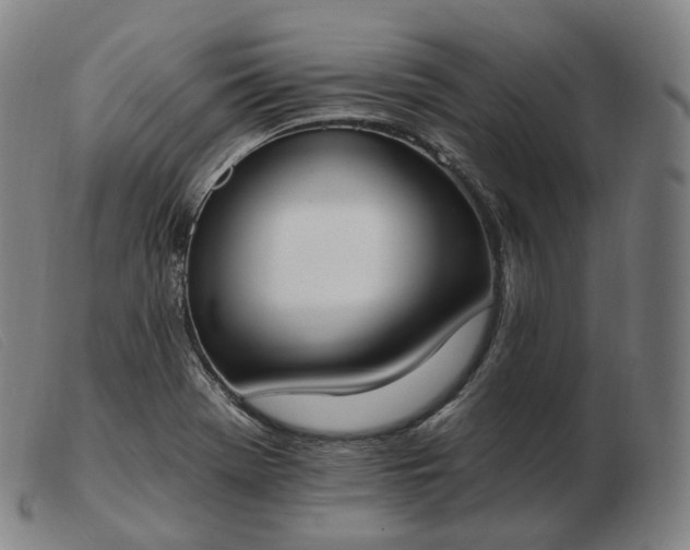 X0000103471369200809191825