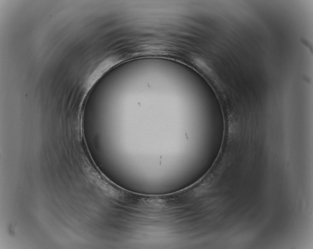 X0000103471370200809191825