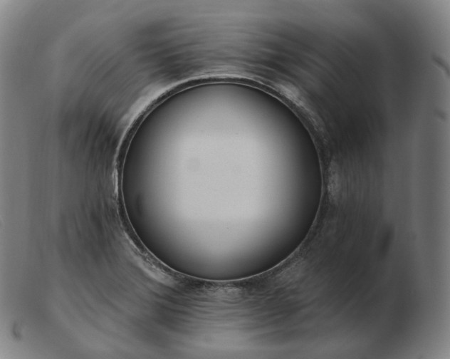 X0000103471372200809191825