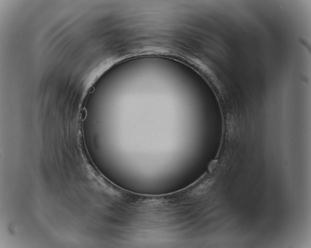 X0000103471373200809191825