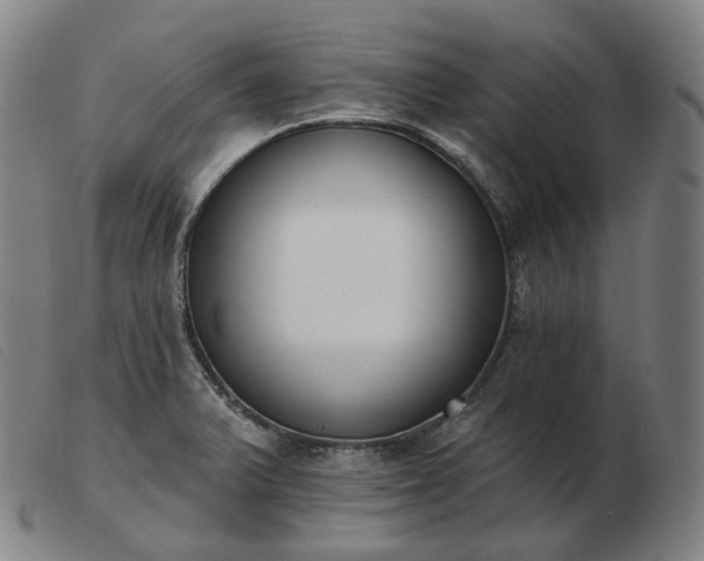 X0000103471375200809191825