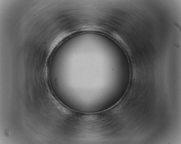 X0000103471376200809191825