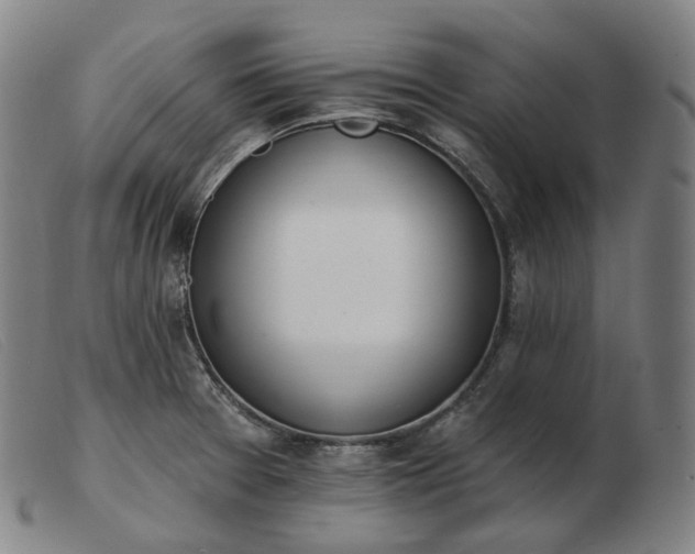 X0000103471377200809191825