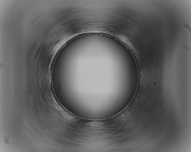 X0000103471380200809191825